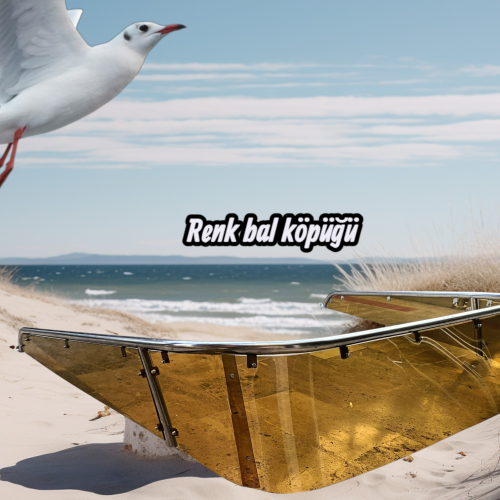 Tekne/Yat Ön Rüzgarlık Camı