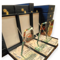 Kristal Cam Plaket 12x20 cm 